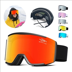 Anti-Fog Protection Ski Goggles
